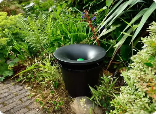 Backyard mosquito reduction treatment