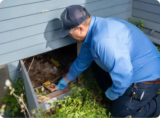 Technician sealing a rodent entry point